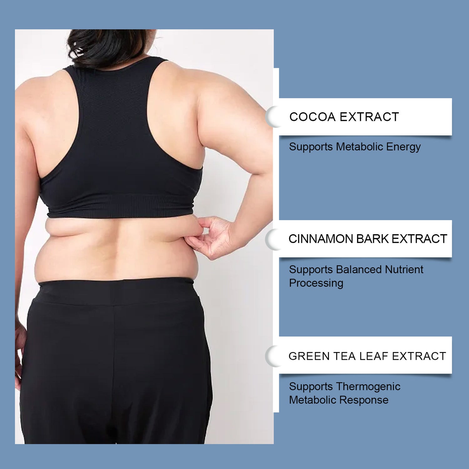 Fat-burning Support Capsules